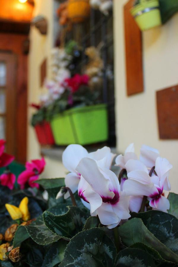 Mina House Daire Campi Bisenzio Dış mekan fotoğraf